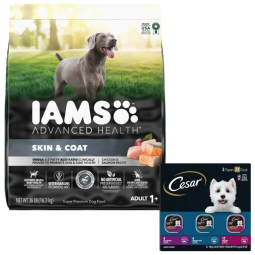 Iams Advanced Health Skin & Coat Chicken & Salmon Recipe Adult Dry Dog Food & Cesar Filets In Gravy Beef Flavors Variety Pack Small Breed Adult Wet Dog Food -Dog Supplies 854510 MAIN. AC SS1800 V1683810471