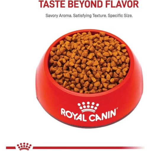 Royal Canin Size Health Nutrition X-Small Puppy Dry Dog Food -Dog Supplies 855830 PT2. AC SS1800 V1683896951