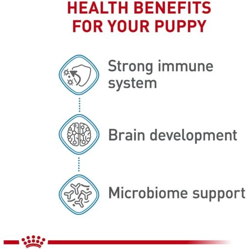 Royal Canin Size Health Nutrition X-Small Puppy Dry Dog Food -Dog Supplies 855830 PT4. AC SS1800 V1683896948