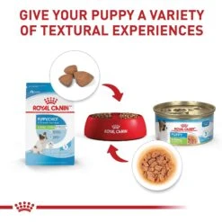 Royal Canin Size Health Nutrition X-Small Puppy Dry Dog Food -Dog Supplies 855830 PT5. AC SS1800 V1683896949