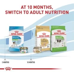 Royal Canin Size Health Nutrition X-Small Puppy Dry Dog Food -Dog Supplies 855830 PT6. AC SS1800 V1683897537