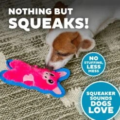 Outward Hound Invincibles Minis Squeaky Stuffing-Free Plush Dog Toy -Dog Supplies 85905 PT3. AC SS1800 V1636517562