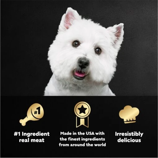 Cesar Loaf & Topper In Sauce Angus Beef Flavor With Bacon & Cheese Grain-Free Small Breed Adult Wet Dog Food Trays -Dog Supplies 86061 PT8. AC SS1800 V1695662183