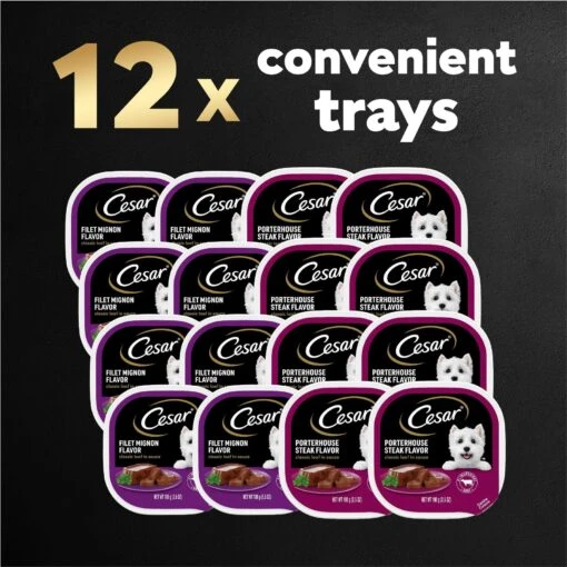 Cesar Classic Loaf In Sauce Filet Mignon & Porterhouse Steak Flavors Variety Pack Grain-Free Small Breed Adult Wet Dog Food Trays -Dog Supplies 86450 PT8. AC SS1800 V1695746025