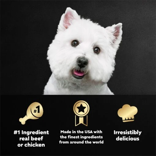 Cesar Classic Loaf In Sauce Beef Recipe, Filet Mignon, Grilled Chicken & Porterhouse Steak Flavors Variety Pack Grain-Free Small Breed Adult Wet Dog Food Trays -Dog Supplies 86492 PT4. AC SS1800 V1695666295