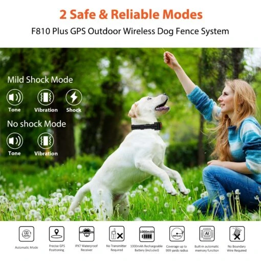 Petdiary GPS Wireless Fence System Dog Tracker, Black, Medium -Dog Supplies 867398 PT1. AC SS1800 V1689687855