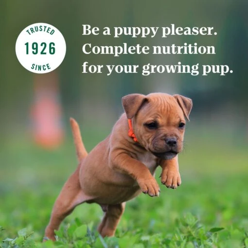 Nutro Puppy Tender Grain-Free Chicken, Sweet Potato & Pea Recipe Bites In Gravy Wet Dog Food Trays -Dog Supplies 86748 PT7. AC SS1800 V1691416148