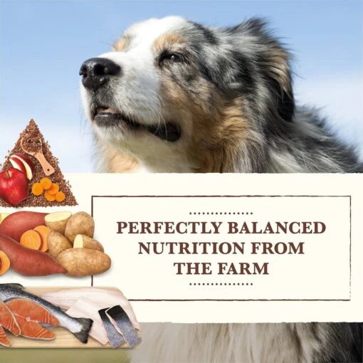 Whole Earth Farms Grain-Free Salmon & Whitefish Dry Dog Food -Dog Supplies 87371 PT2. AC SS1800 V1647900990