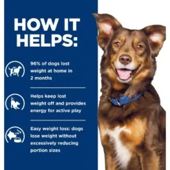 Hill's Prescription Diet Metabolic Weight Management Vegetable & Beef Stew Canned Dog Food -Dog Supplies 87468 PT5. AC SS1800 V1600011991