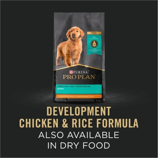 Purina Pro Plan Development Variety Pack Puppy Grain-Free Chicken Entree & Turkey Entree Wet Dog Food, 13-oz Can, Case Of 12 -Dog Supplies 877758 PT3. AC SS1800 V1686070815