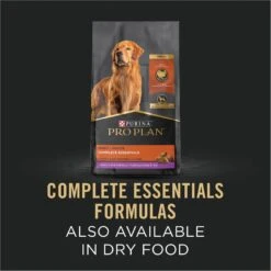 Purina Pro Plan Complete Essentials Variety Pack Adult High Protein Lamb & Vegetables, Turkey & Vegetables Slices In Gravy Wet Dog Food, 13-oz Can, Case Of 12 -Dog Supplies 877774 PT4. AC SS1800 V1686070755