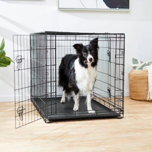 Frisco Fold & Carry Double Door Collapsible Wire Dog Crate -Dog Supplies 88789 MAIN. AC SS1800 V1623171761