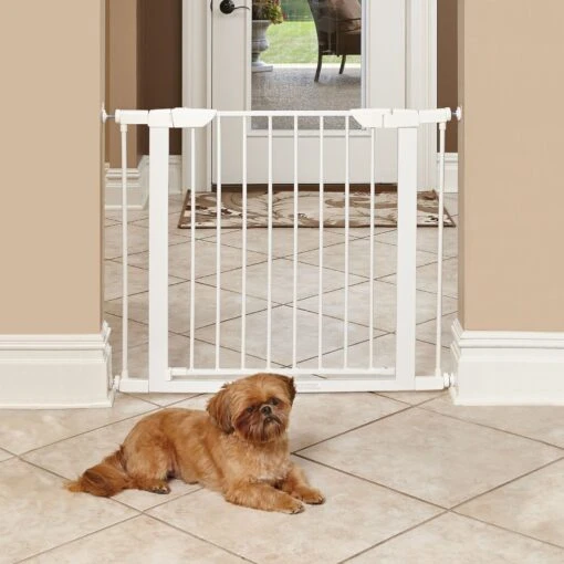 MidWest Steel Pet Gate -Dog Supplies 89408 MAIN. AC SS1800 V1688157532