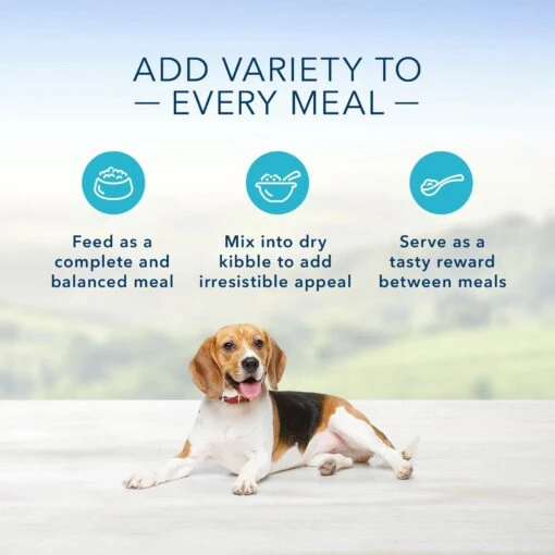 Blue Buffalo Life Protection Formula Healthy Weight Adult Chicken & Brown Rice Recipe Dry Dog Food & Blue Buffalo Homestyle Recipe Healthy Weight Chicken Dinner With Garden Vegetables & Brown Rice Canned Dog Food -Dog Supplies 916486 PT4. AC SS1800 V1689883381