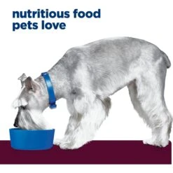 Hill's Prescription Diet I/d Digestive Care Low Fat Rice, Vegetable & Chicken Stew Wet Dog Food -Dog Supplies 92810 PT3. AC SS1800 V1651673182