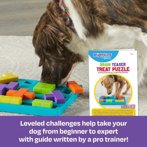 Brightkins Brain Teaser Treat Puzzle Dog Toy -Dog Supplies 930070 PT2. AC SS1800 V1698766700