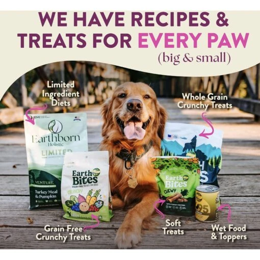 Earthborn Holistic Meadow Feast Lamb Meal & Vegetables Grain-Free Dry Dog Food -Dog Supplies 931494 PT5. AC SS1800 V1697754442