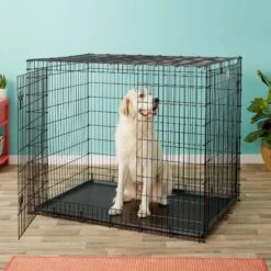 MidWest Solutions Series XX-Large Heavy Duty Double Door Wire Dog Crate, 54 Inch & MidWest Quiet Time Fleece Dog Crate Mat -Dog Supplies 939374 PT4. AC SS1800 V1691785952