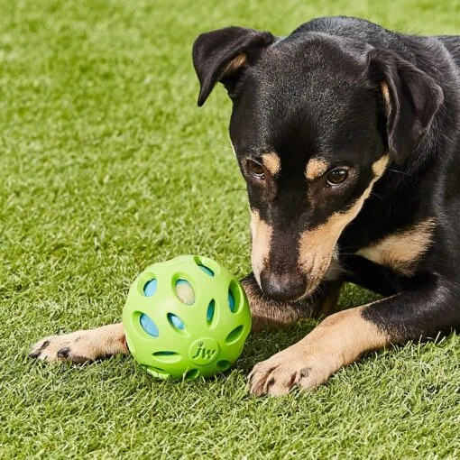 As Seen On TV Wobble Wag Giggle Ball Dog Toy & JW Pet Crackle Heads Ball Dog Toy, Color Varies -Dog Supplies 947430 PT8. AC SS1800 V1693920163