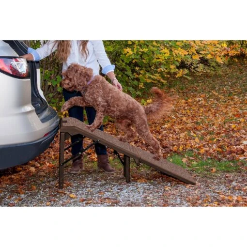 Pet Gear Free-Standing Extra Wide Carpeted Dog Car Ramp -Dog Supplies 97972 MAIN. AC SS1800 V1609289545