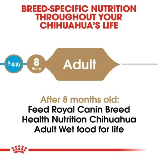 Royal Canin Breed Health Nutrition Chihuahua Adult Loaf In Sauce Dog Food -Dog Supplies 99656 PT3. AC SS1800 V1592565952